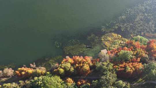 【精品】洱海泸沽湖抚仙湖秋天秋景秋色航拍