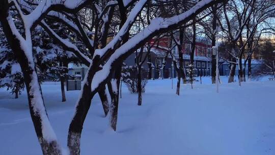 冬天公园老树小河雪景