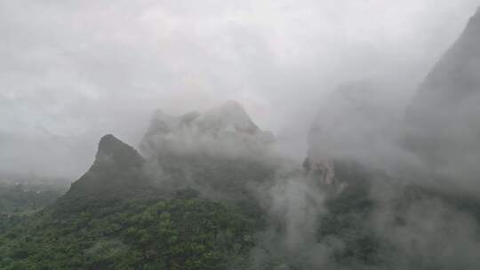 雾气笼罩的茂密山林全景