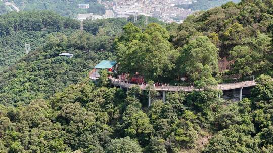 广东观音山国家森林公园第十二届登山大赛