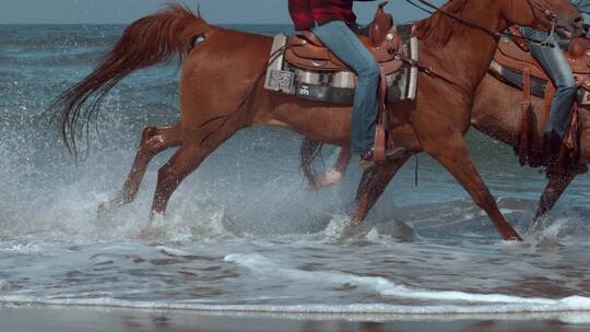 骑着马在海边奔驰