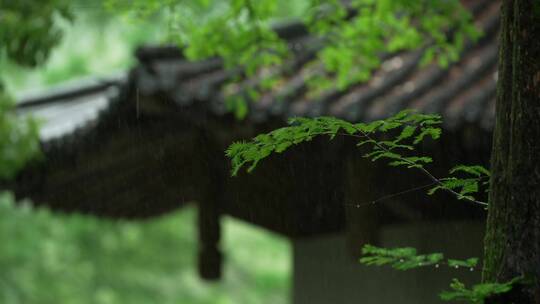 179 杭州 风景 古建筑 下雨天 亭子 树枝