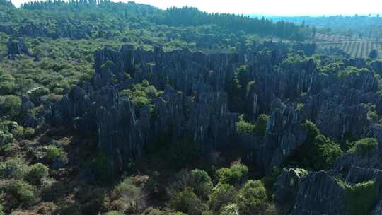 云南昆明石林风景区