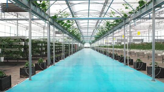 智慧农业 温室大棚 现代农业 数字农业