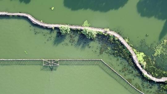 犭央犭茶湖长桥风景悠闲的乡村生活视频素材模板下载