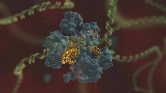 生物科学 基因编辑 DNA 基因工程 医学动画