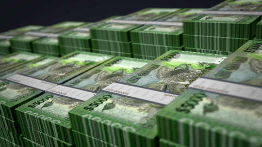 圭亚那美元钞票包增长循环