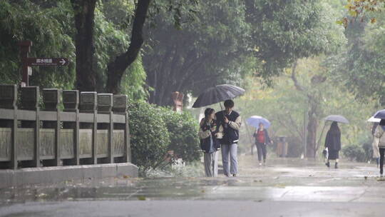 公园雨中散步的甜蜜情侣