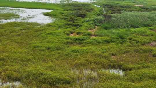 航拍马河水库湿地