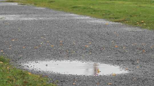 水坑降雨