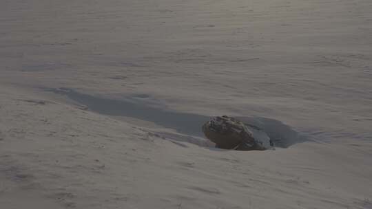 沈阳丁香湖雪景银装素裹的雪后树林景色