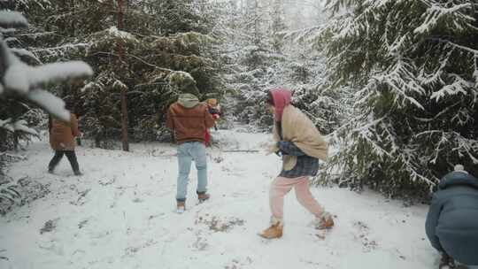 朋友，雪，森林，雪球