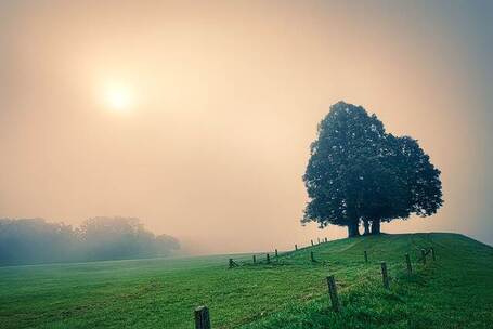 幽涧晚曲 柔和 独奏 小镇 宣传片 微