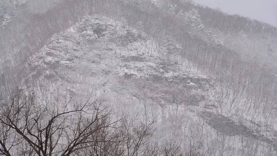 漫天飞雪大雪封山