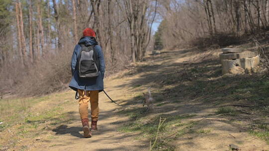 森林里和小狗一起散步的女人视频素材模板下载