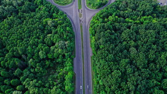 在户外道路上汽车穿过森林