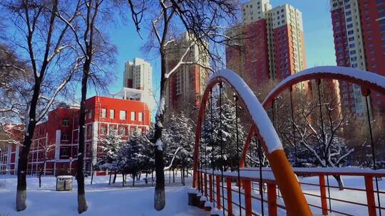 冬天公园老树小河雪景