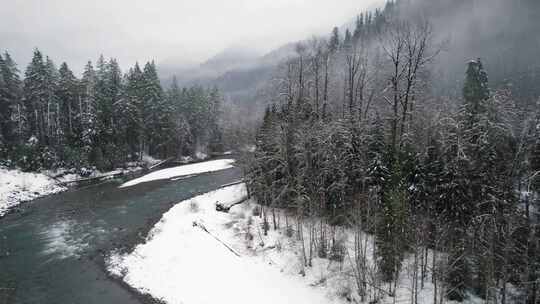 山，冬天，雪，树