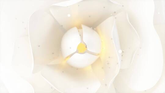 白色开花的玫瑰美容护肤创意3D素材