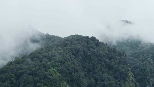 喜马拉雅山，尼泊尔，安纳普尔纳峰地区，山