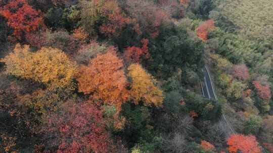 杭州富阳墅溪村林峰山森林秋色航拍