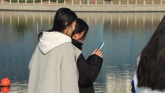 威海职业学院通海湖里的黑天鹅视频合集