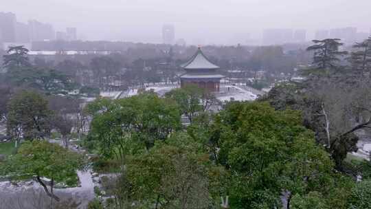 西安兴庆宫公园雪景