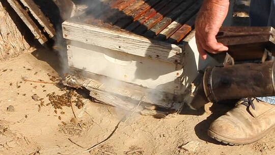养蜂人熏蒸蜂箱视频素材模板下载