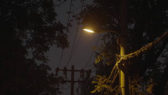 路灯 夜晚空镜 道路夜景视频素材模板下载