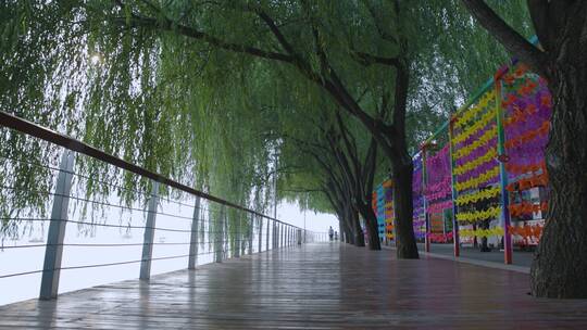 北京雁栖湖景区林荫道升格视频视频素材模板下载