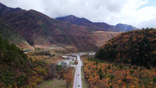 川西康定山川金黄色的秋天航拍