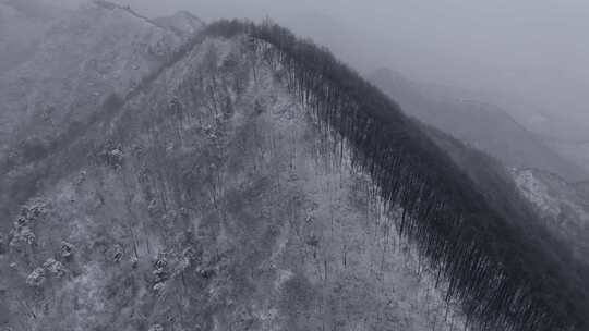 秦岭冬天下雪 白雪皑皑