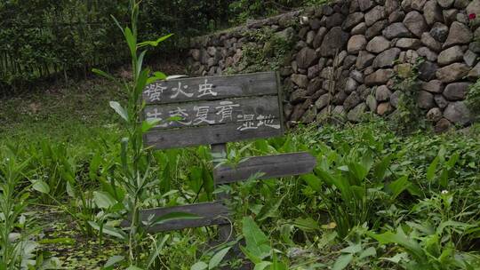 山间民宿绿野仙踪