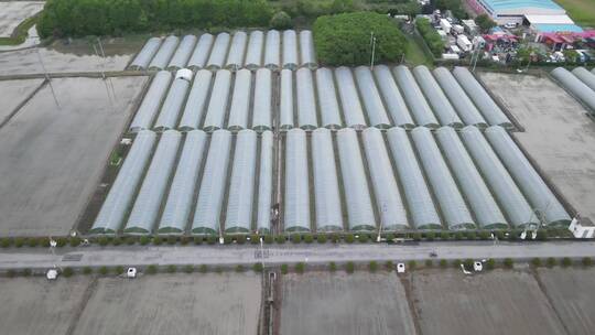航拍上海村农大棚农业生产4K航拍原素材视频素材模板下载