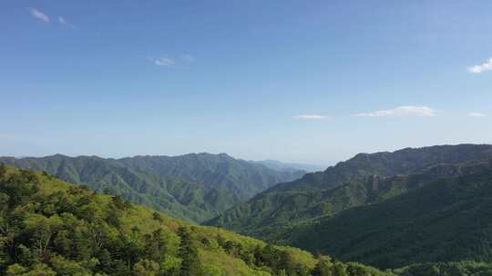 秦岭、航拍 山脉云海、原始森林、