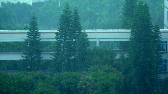 城市小区特大暴雨【商用需购买企业授权】