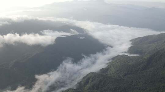 海南热带雨林云海视频素材模板下载
