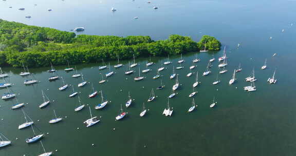 帆船停靠在比斯坎湾的椰林码头附近的晚餐野