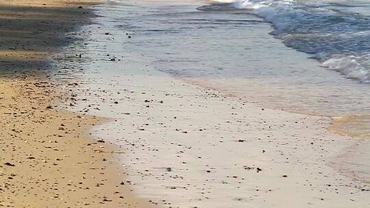 肮脏海滩上的浅浪