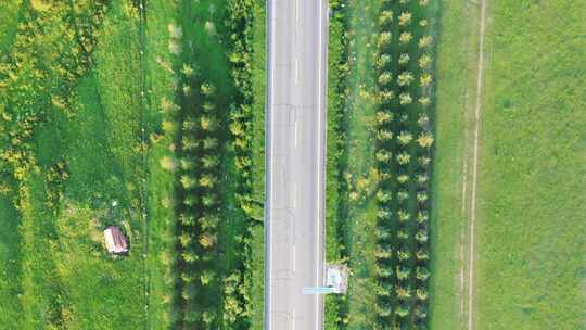 【航拍】草原天路  草原公路上行驶的汽车