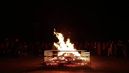 篝火中木材燃烧视频素材11