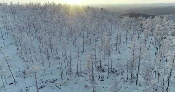 航拍内蒙古大兴安岭冰雪雾凇、雪凇