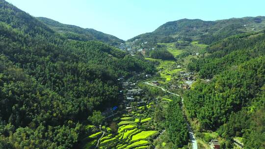 大山梯田视频素材模板下载