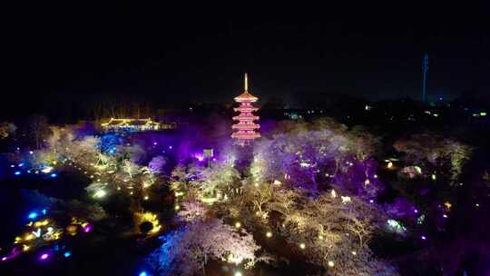 武汉市东湖樱花园五重塔夜景航拍