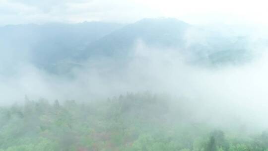 山清水秀的，云雾缭绕。