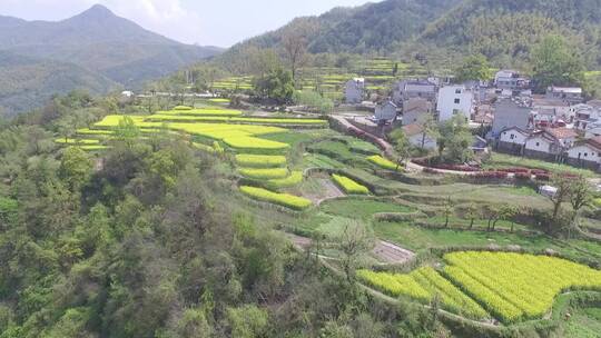 衢州市衢江区东平村