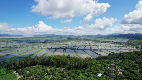 珠海金湾平沙渔业蓝天航拍