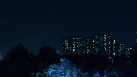 夜景写字楼