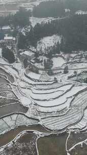 竖版航拍南方乡村田园农田梯田雪景