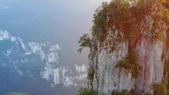 湖北恩施大峡谷旅游风景区岩石与岩石上的树